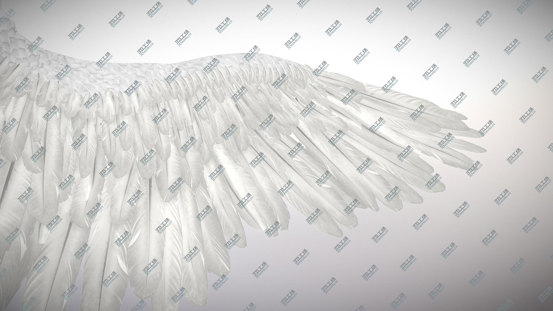 images/goods_img/202104022/Highly Detailed RIGGED ANGEL or BIRD WINGS/4.jpg